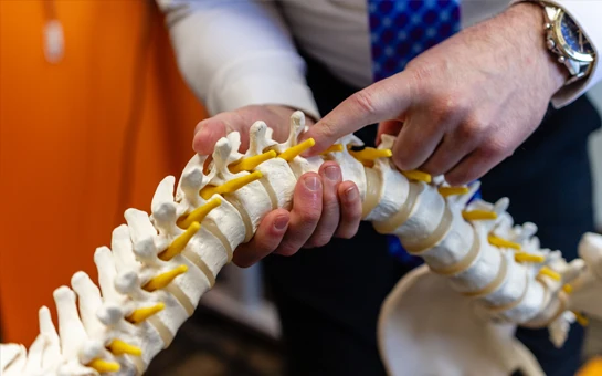 Chiropractor St Paul MN Jeremy Hurkman Showing Spine Model